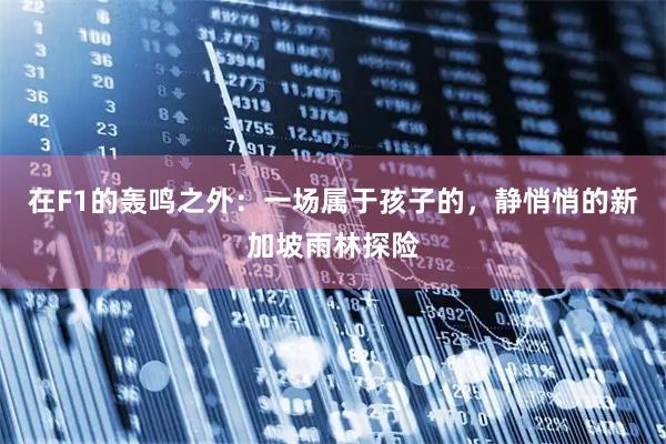 在F1的轰鸣之外：一场属于孩子的，静悄悄的新加坡雨林探险