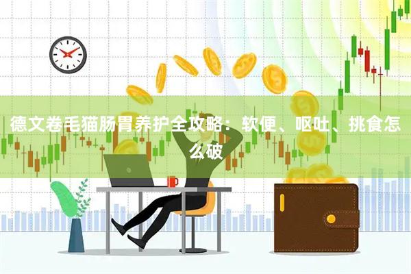 德文卷毛猫肠胃养护全攻略：软便、呕吐、挑食怎么破